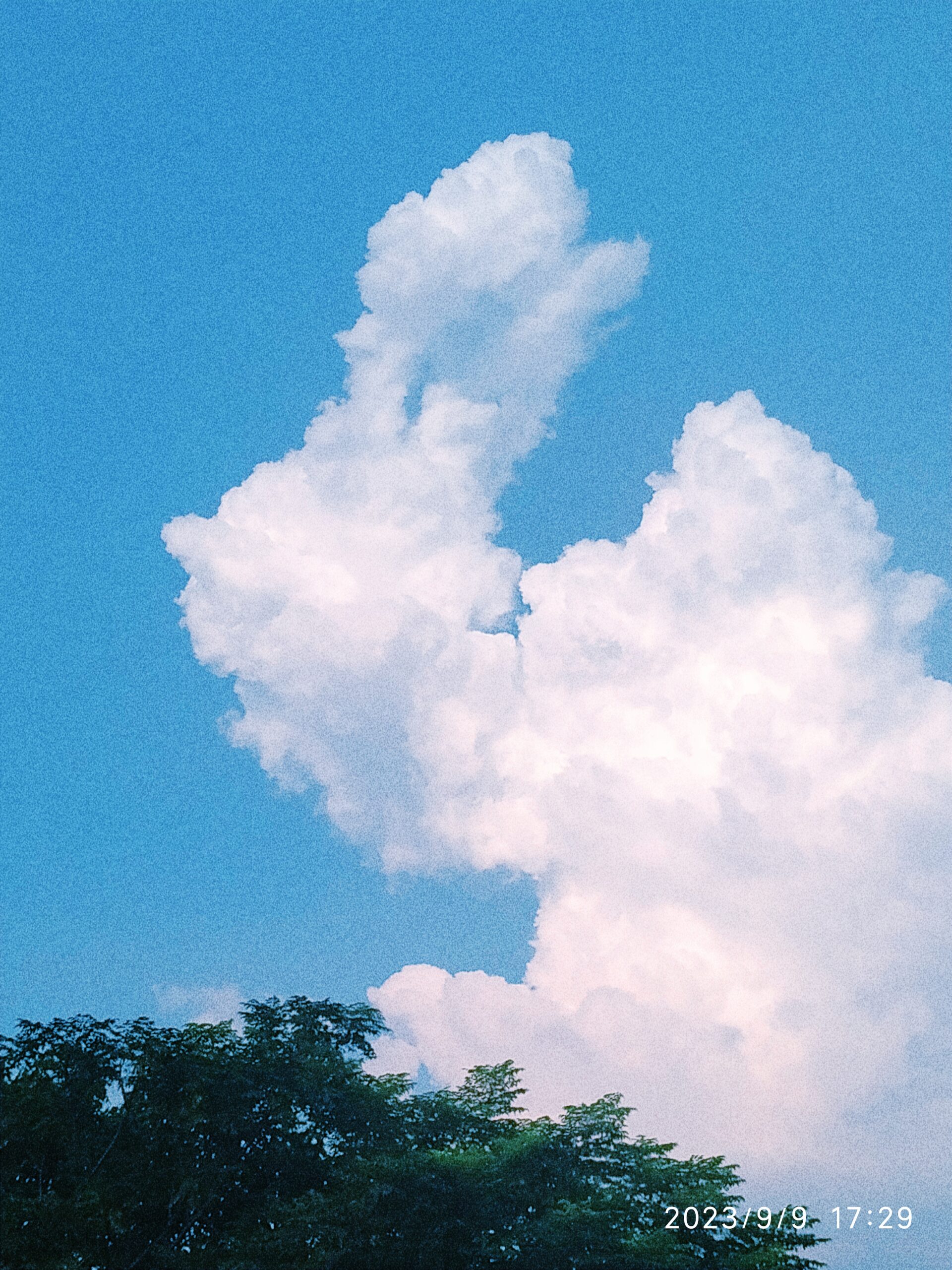 Want to preserve your cherished memories? Excercising for 30 min would help, study suggests